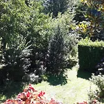 Bosco Fiorito Panzió *
