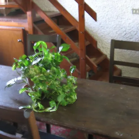 Bosco Fiorito Couette-café *